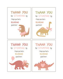 Dinosaur Party Pack -pink