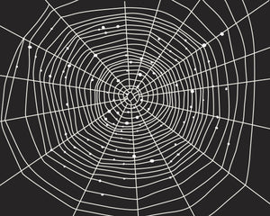 Vintage Halloween Illustration Posters Spiderweb