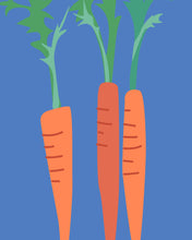 Load image into Gallery viewer, Vegetable Garden Wall Art Illustrations